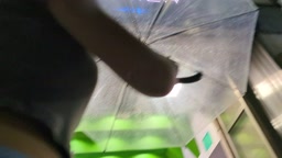 パンティライン