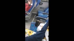 露出