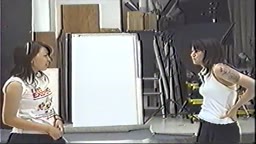 キャットファイト