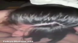 ヤリサー 流出動画