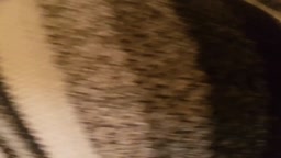 College Girl's Orgasmic After-Party in Mexico District