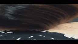 個人コレクション