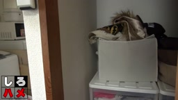 素人　まりな　ゆな　1