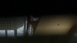 正面からプクッと飛び出たビラビラと割れ目が確認