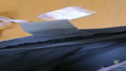 マミを貸出し帰宅後