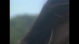 ANABUKIレースクイーン ②