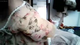 どMなあきゃねの放送局