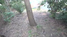 アジア人が公共プレイ