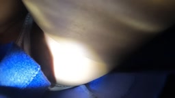 狂信者 #08【★5】