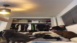 オナニー　部屋着　ライブチャット