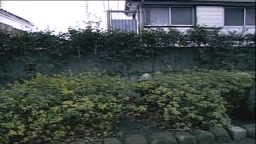 NEO出血大制服⑩　観月沙緒里