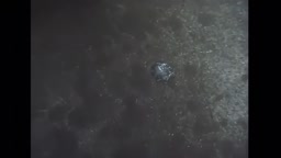 (野外好きの変態)