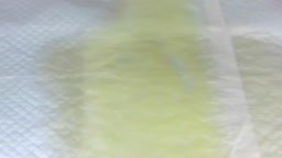 ライブチャット