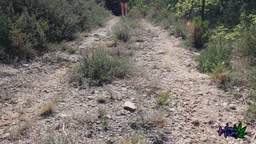 Risky Masturbation On A Hiking Trail