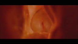 pov big penis in vagina creampie