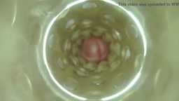 Inside a Fleshlight Fully Seeded Cum
