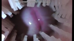 orgasm in fleshlight pov