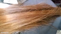 早朝よく顔を合わせる子の逆