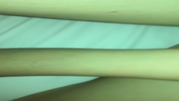 オリジナル　彼女