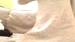 ライブチャット