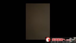 電車　上白下黒