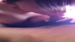 寝起き フェラ抜き