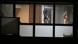 【完全オリジナル】向かいのタワマンのおねえさん