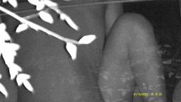 カーセックス021