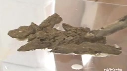 スカ(閲覧注意)