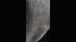 痴〇電車—[20代ギャル]19分5秒に限界崩壊ガクブル痙攣フィニッシュ。Tバックボッコボコ超食い込み前後アングル五感コンプリート