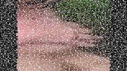 田中な◯き　温泉