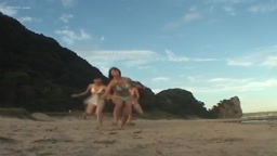 ビーチキャットファイト