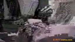 Amateur Chinese Girl Sex Video