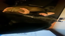 ネカフェで美女にフェラ抜きされる