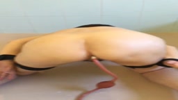 【素人撮影】拘束されながら配信映像。