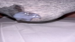 カルバンクラインオナニー