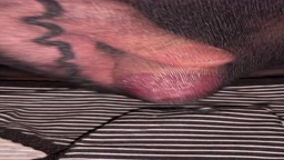 黒ストオナニー