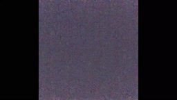 40代夫婦　正月の営み