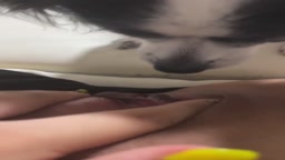 犬に舐めてもらう2