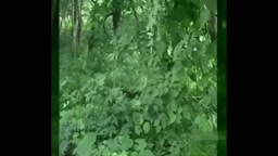 三十路の熟女③