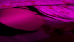 here is what you need