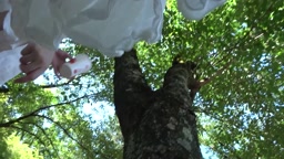 ぷりぷりと張り詰め