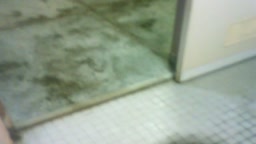 不倫相手と便所のドアを開けて全裸SEX 1