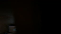 ネカフェ　オナニー