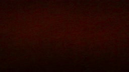 ネカフェ　オナニー