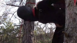 Hard Fucking in Heels: Screams, Moans, Orgasms & BDSM