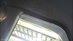 テステス９（撮影下手糞）