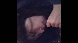 個人撮影！彼氏持ちギャル寝取られ生はめ