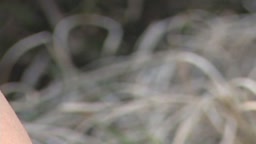 ちょっと前まで現役高校生 08 永瀬さくら