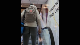 Swedish Chick in Grey Second Skin Leggings